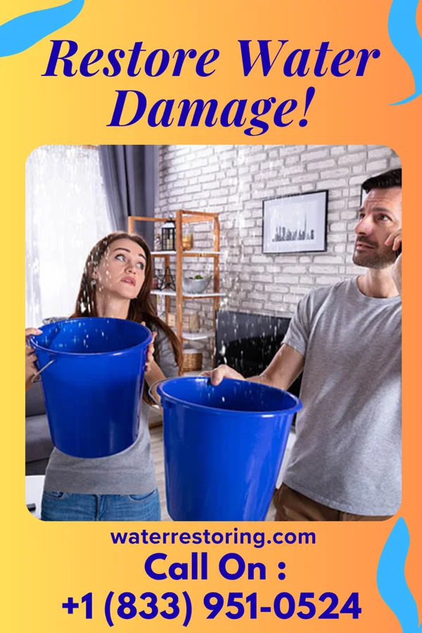 water restoration Stellar Mitigation Group Riverton