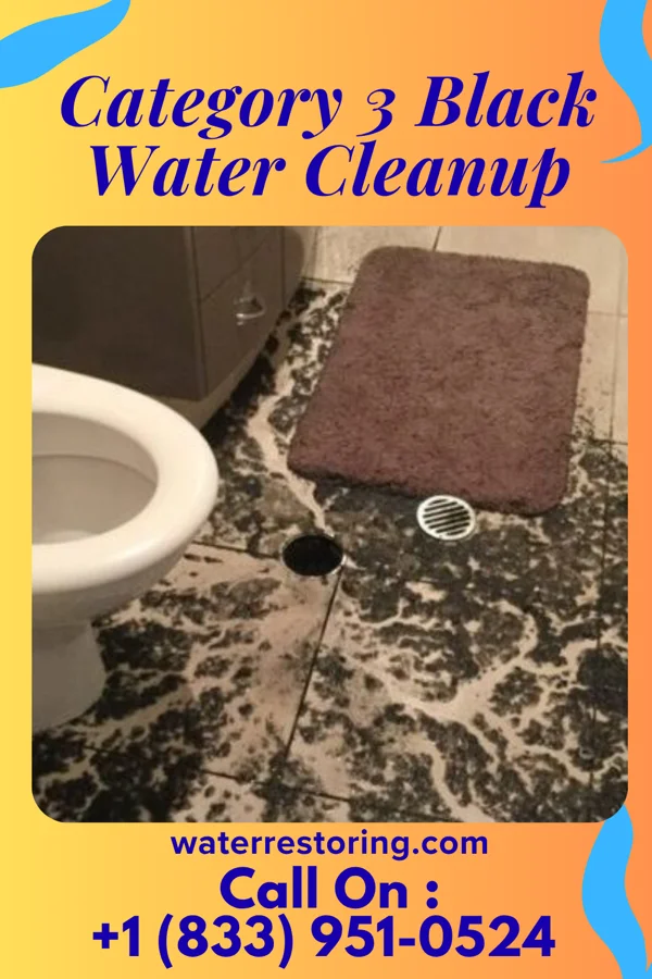 Category 3 Black Water Cleanup in Riverton, NJ