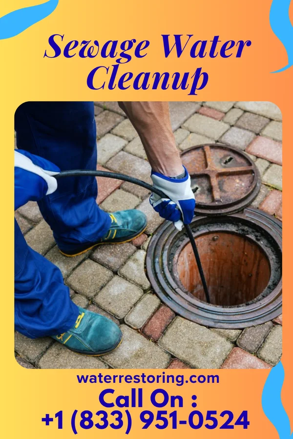 Sewage Water Cleanup in Riverton, NJ