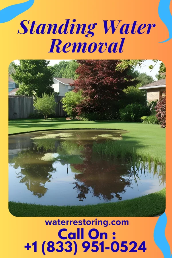 Standing Water Removal in Riverton, NJ